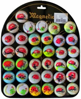 Obrázek z Magnet beruška skleněný (36) 